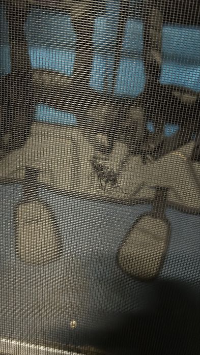 Thule Chariot Cross 2