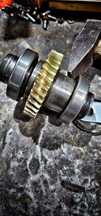 Koło zębate - ślimacznica do przekładni myjni