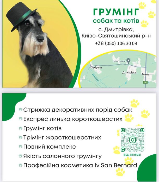 Стрижка тримінг грумінг собак Дмитрівка Бучанський р-н