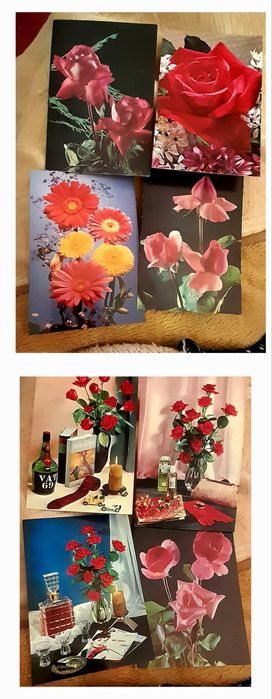 V postais a 0,45€ cavalos,flores, etc