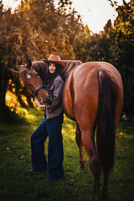 Sprzedam klacz wielkopolską