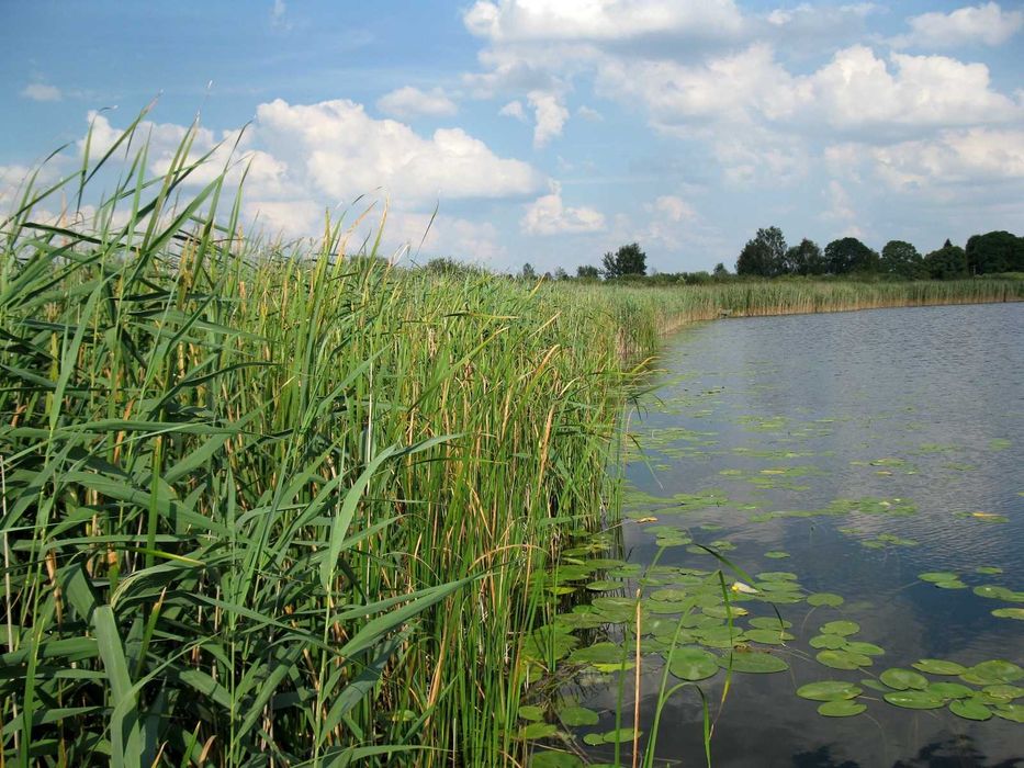 Działka  nad jeziorem Słone