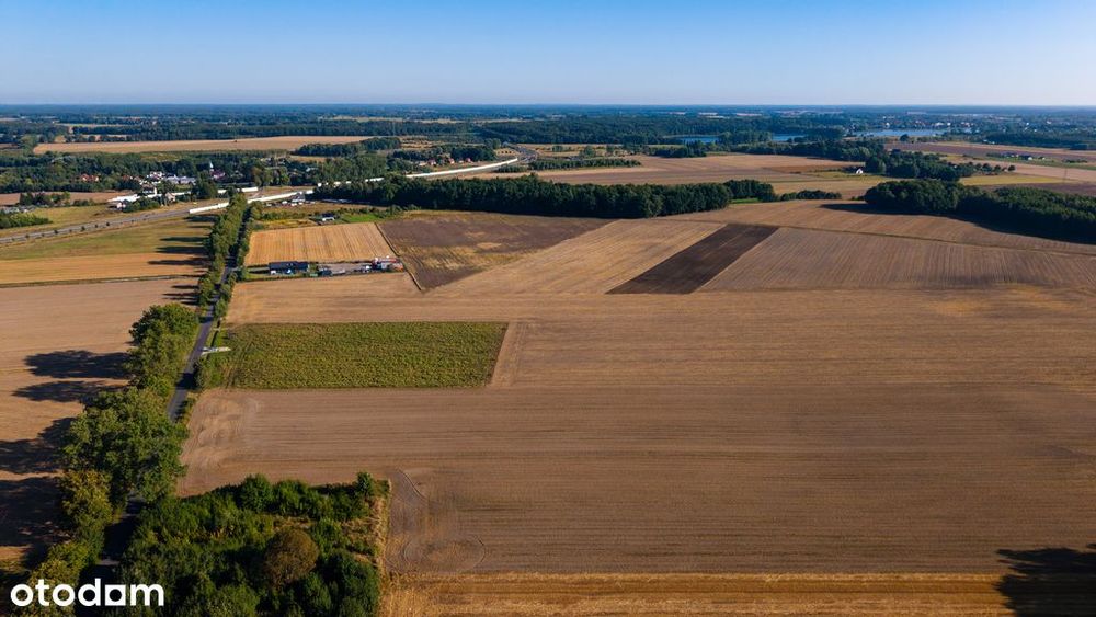 Działki pod dom | Olchowo | 1200 m² | 99 zł/m²