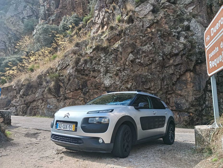 C4 Catus 1.6  Gasoleo — photo 2