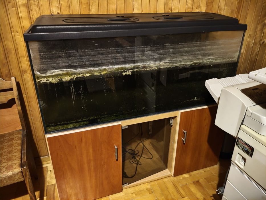 Akwarium 240L optiwhite