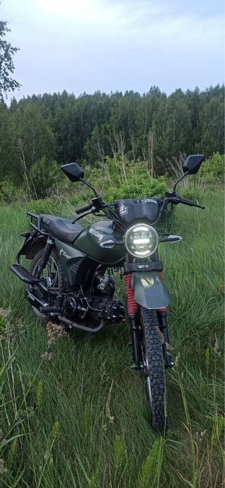 Mustang dingo 125