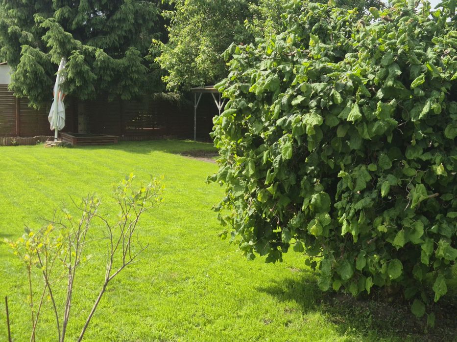 Ogródek działkowy - Widok 3