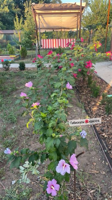 Дача с новым домом. Выход на реку и в лес Орловщина