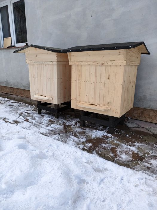 Ul ule wielkopolskie warszawskie