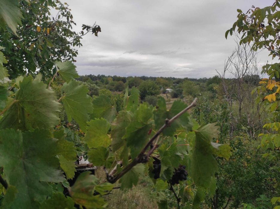 Дачний будинок в СДТ «Красне», біля Вінниці.