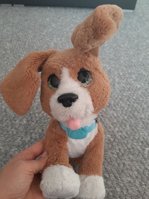 Piesek Charlie Fur Real Friends Hasbro