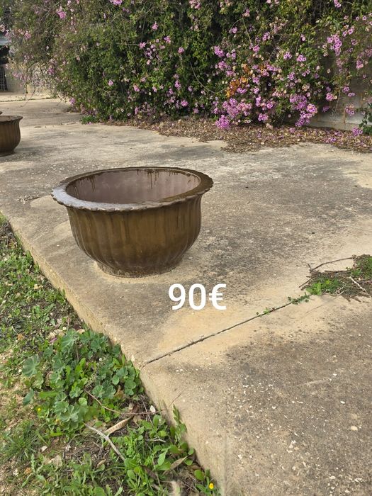 Vasos Chineses oportunidade