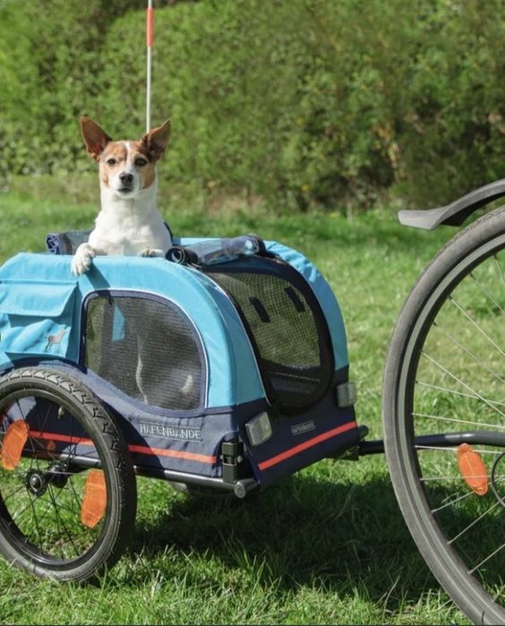 Przyczepka rowerowa Cabby S, z dwoma sprzęgami