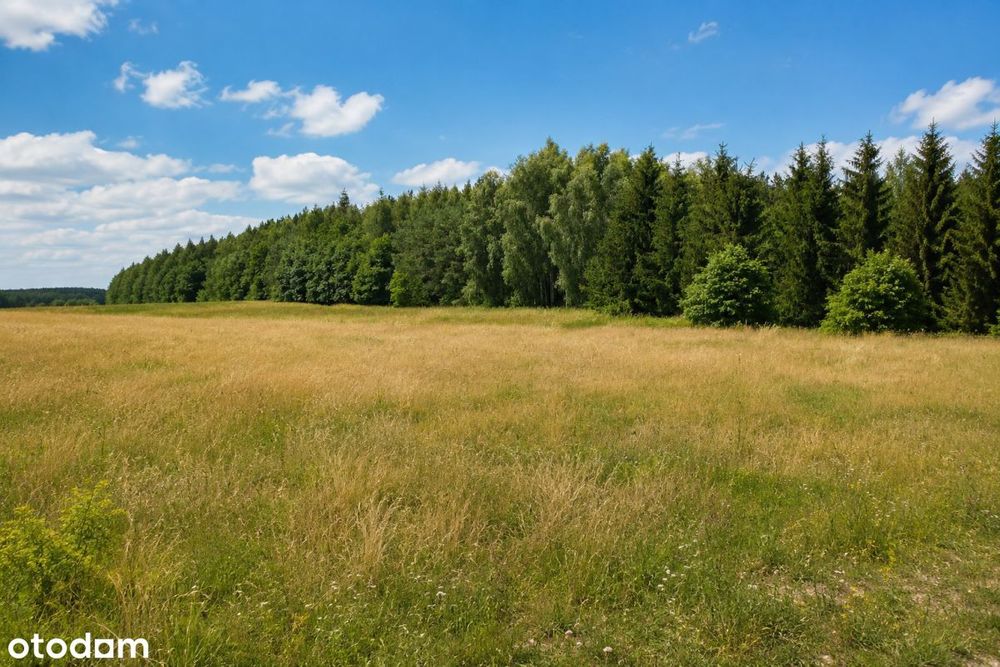Działki budowlane -gm. Nowa Wieś Wielka