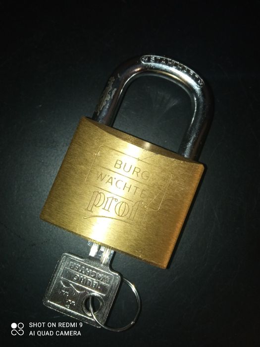 Kłódka Burg wachter Profi 116/50