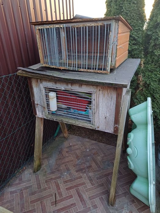 Klatka dla królika lub przepiórki