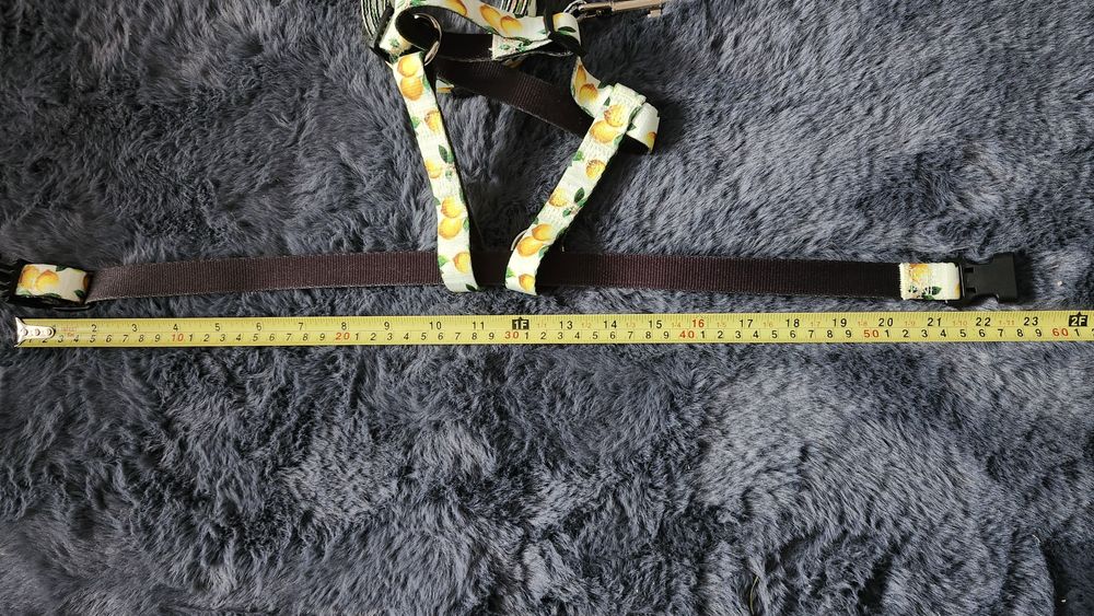 Zestaw szelki obroża smycz Sinsay