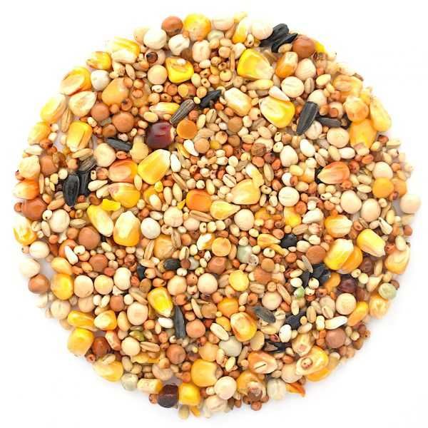 Karma dla gołębi BP bez pszenicy