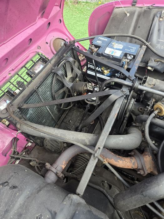 Renault 4 L GTL (Pantera cor de rosa)