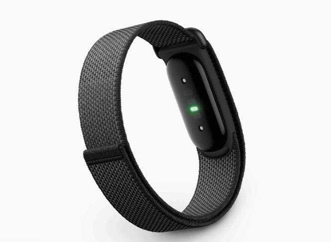 Фітнес браслет Google Fitbit Air