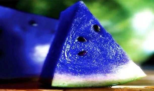 Nasiona arbuzów Blue Watermelon NIEBIESKI arbuz sadzonki arbuza