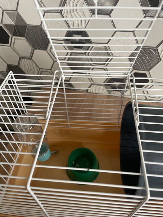 Продам клітку  для хом’яка,430 грн з наповнення та кормом