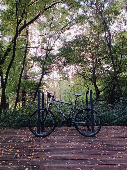 Kelly's Beast Full XC Marathon