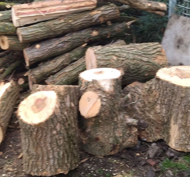 Продам дрова, метровые.