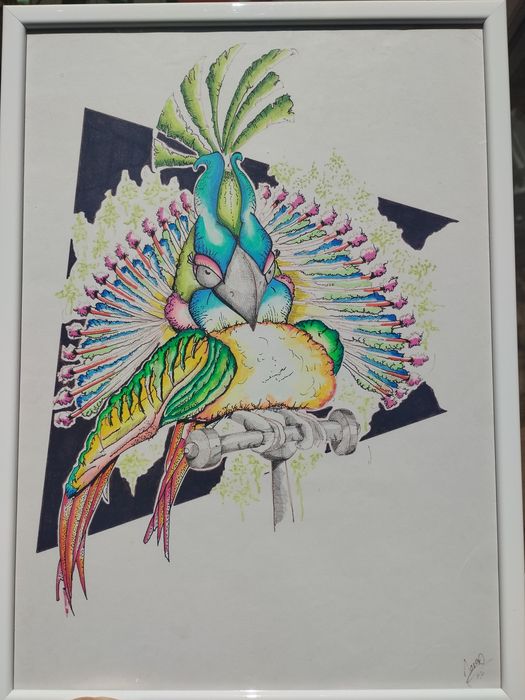 dois quadros "papagaios" pintados a mão, assinados