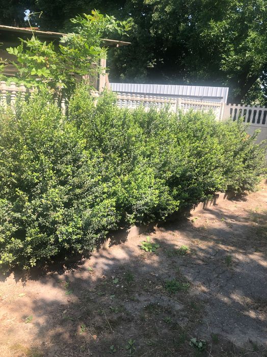 Продам чудовий будинок