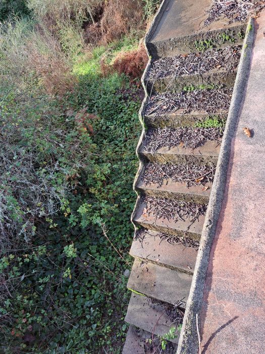 Vende-se terreno rústico inserido em zona de reserva florestal