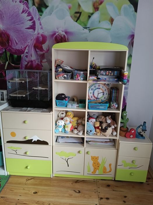 Szafa , łóżko, 2 regały, biurko , pojemnik, komoda, szafka nocna