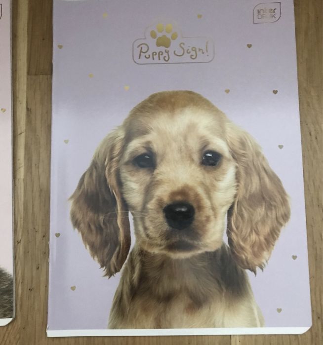 Zeszyt w kratkę A5 48tknsz