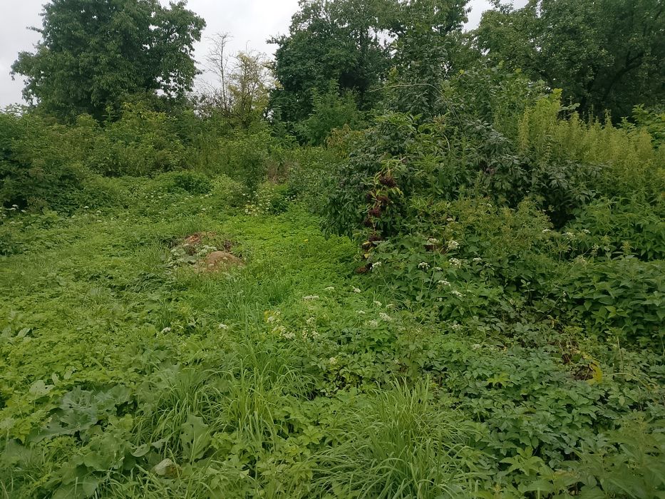 Продам будинок в м.Комарно