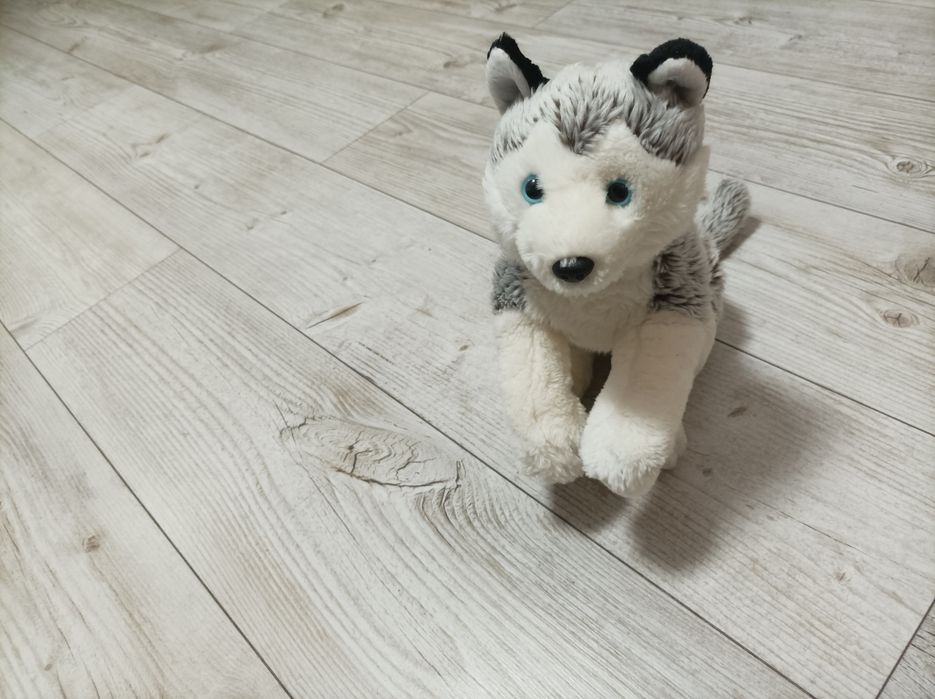 Мягкая игрушка хаски
