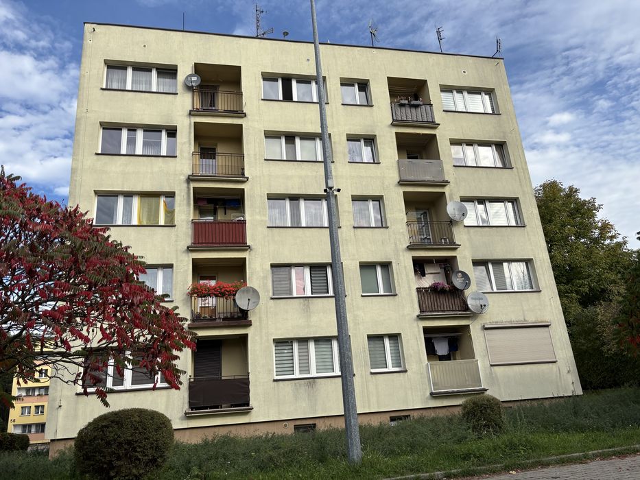 , Brzezinka