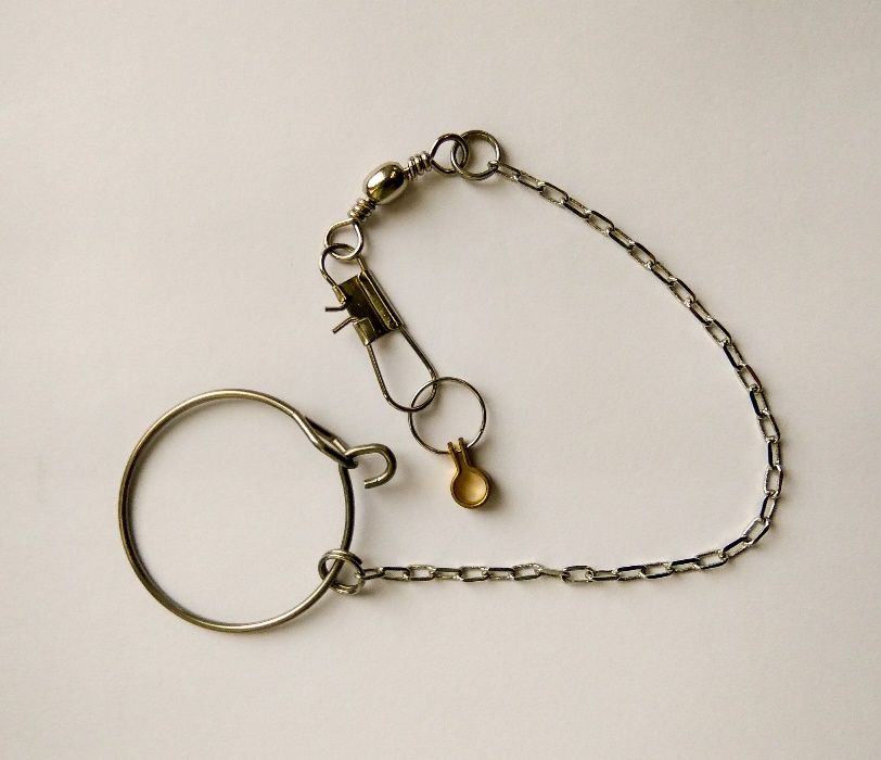 Correntes para aves domesticadas