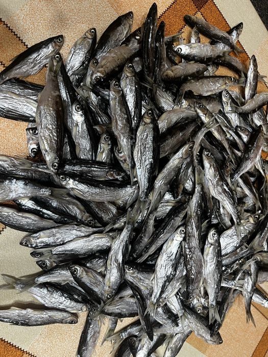 Вялена верховодка,дуже смачна