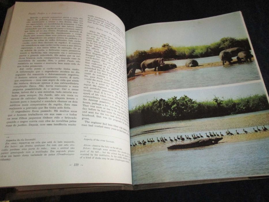 Livro Santuário Bravio Gorongosa e Moçambique Eça de Queiroz 1964