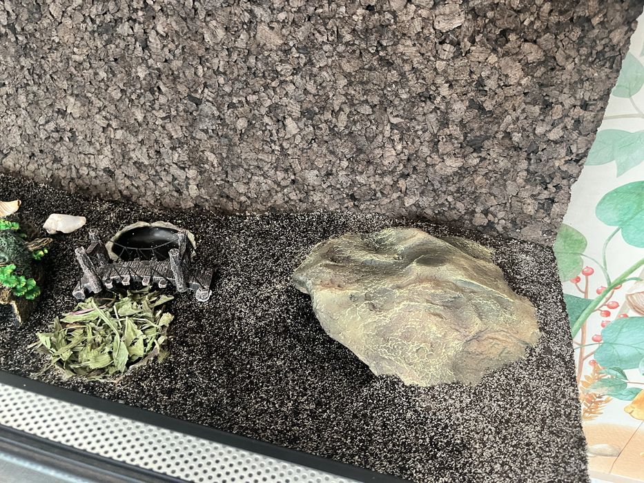 Terrarium - cały komplet