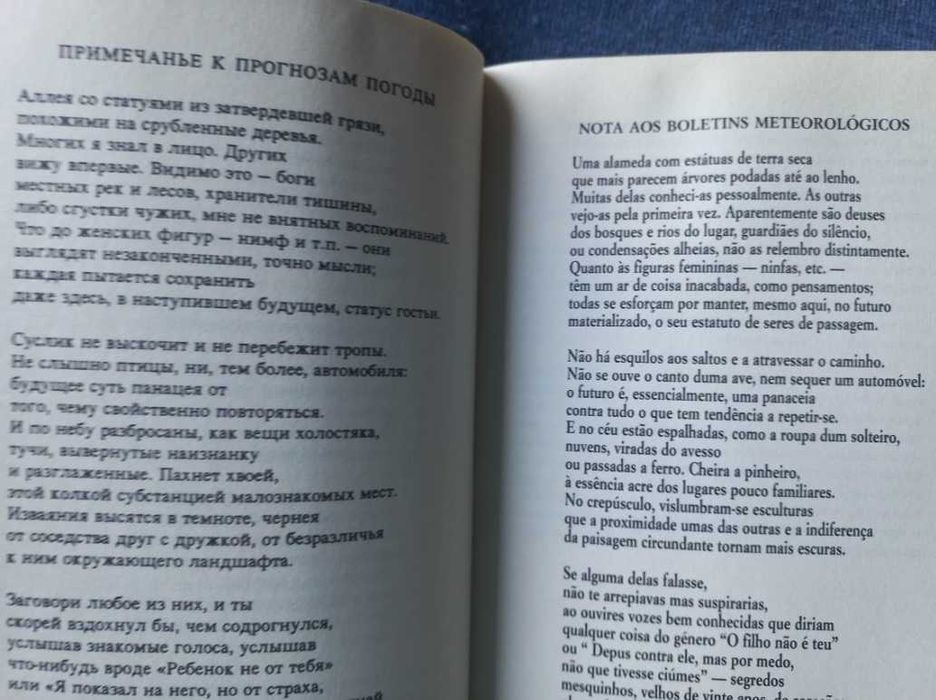 Paisagem com Inundação - Joseph Brodsky