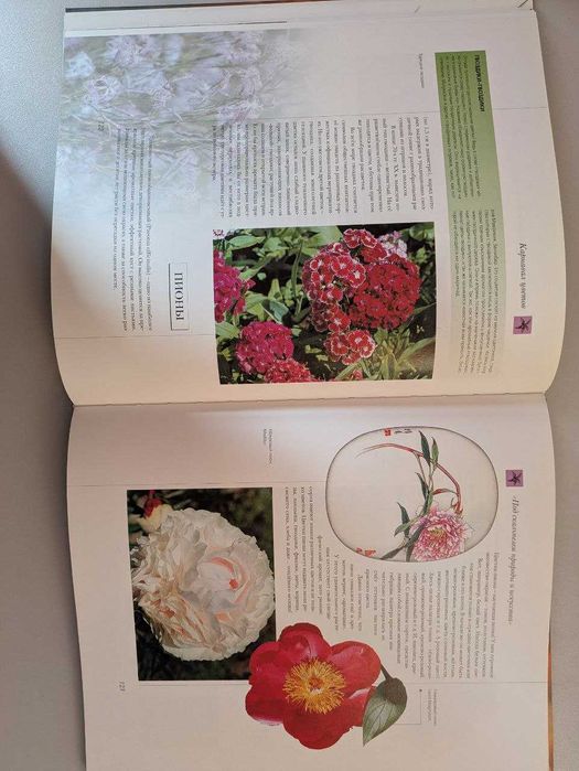 Самые красивые и знаменитые Цветы мира Аванта 2002 год