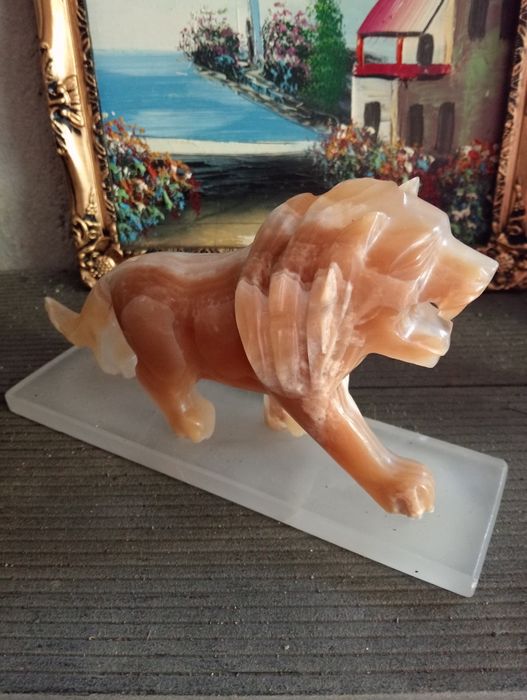 Lindas imagens de animais em pedra