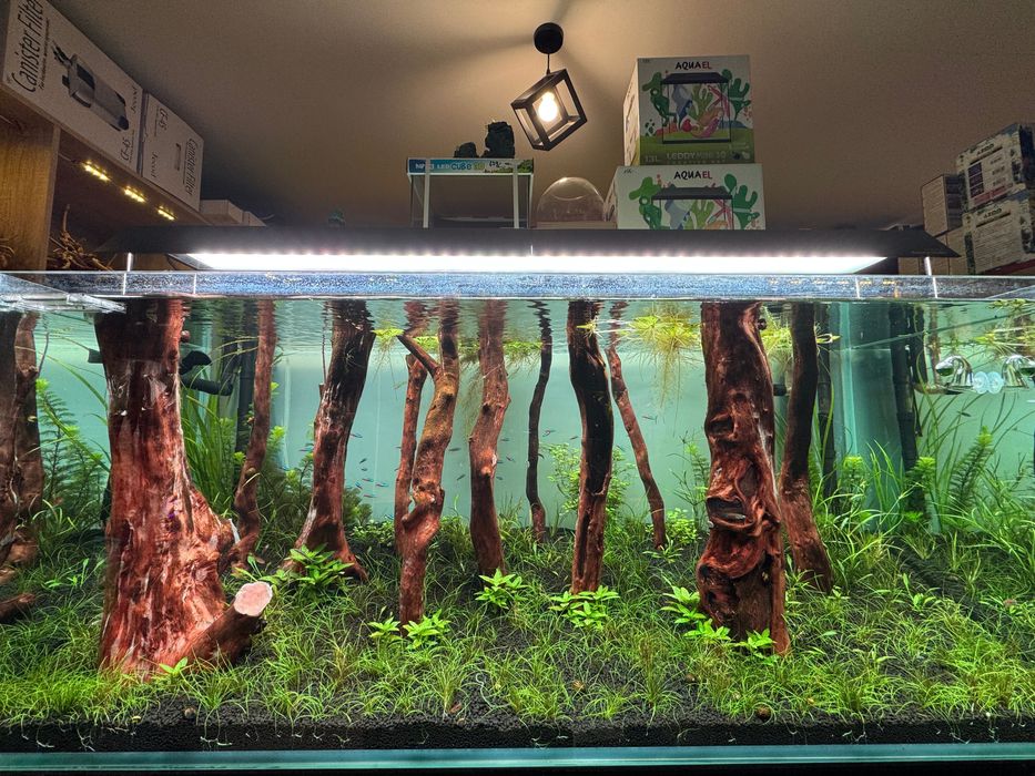 Akwarium – Serwis, Zakładanie, Czyszczenie, Pomoc, Modernizacja