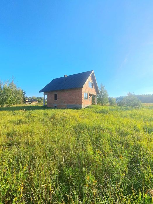 Sprzedam dom przy lesie   Kolonia Drużbice
