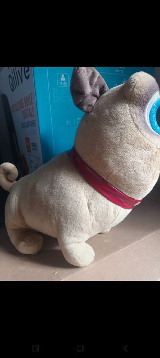 Pelúcia Bingo e Rolling