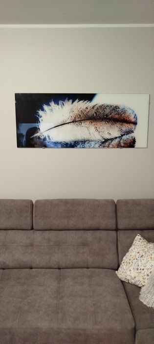 Obraz szklany 125x50