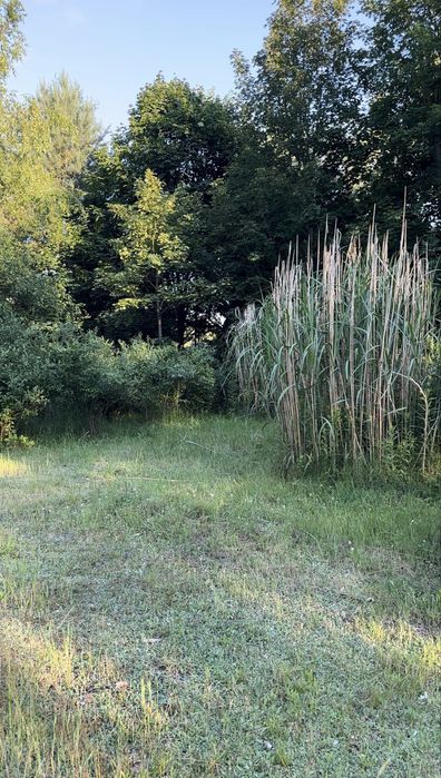 Działka budowlana Śmiechowice, gmina Lubsza - Widok 3