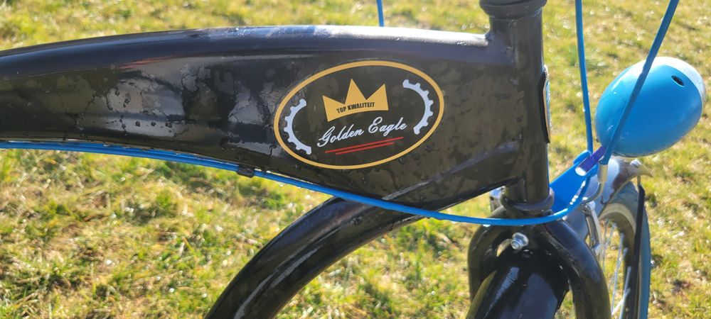 Rower Dallas Cruiser Men 28" 3spd Golden Eagle