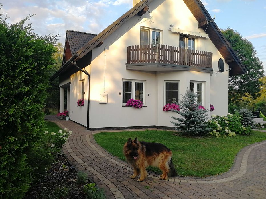 Sprzedam dom w pięknej i cichej okolicy